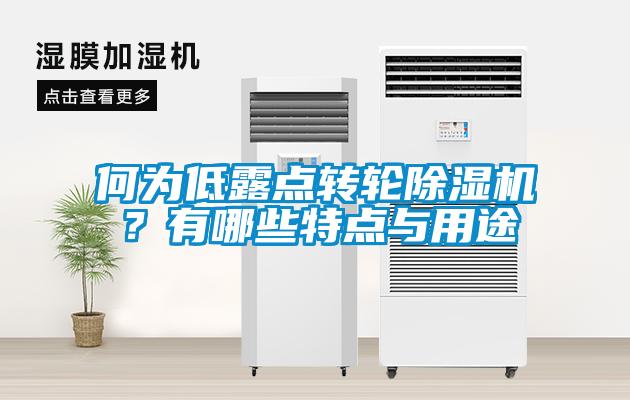 何為低露點轉輪除濕機？有哪些特點與用途
