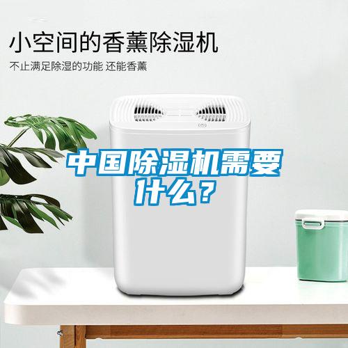 中國除濕機(jī)需要什么？