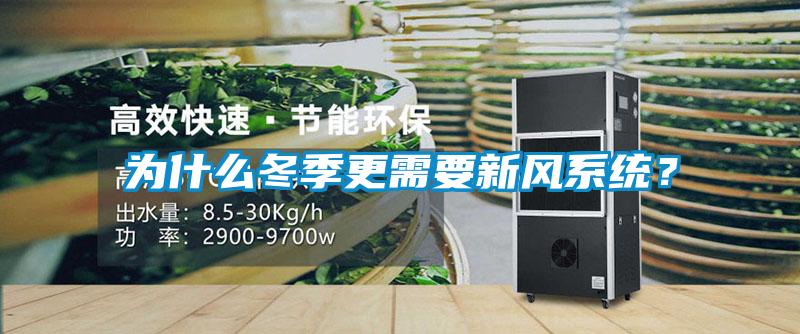 為什么冬季更需要新風系統？
