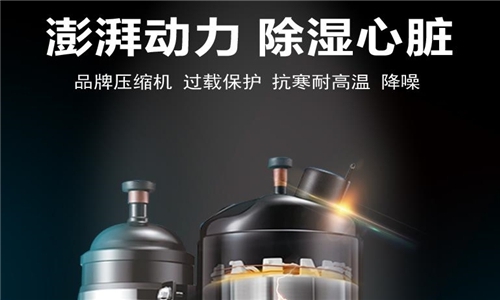 別吃了潮濕環境的虧，除濕機正確開啟方式