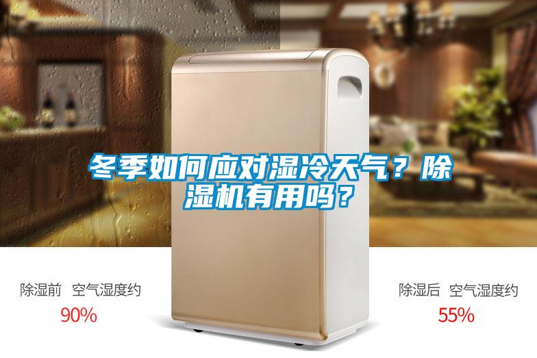 冬季如何應對濕冷天氣？除濕機有用嗎？