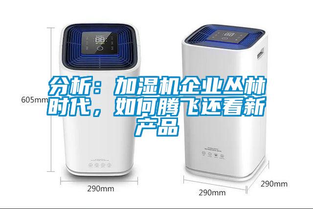 分析：加濕機企業叢林時代，如何騰飛還看新產品