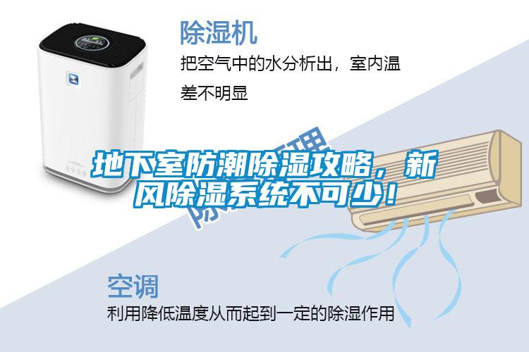 地下室防潮除濕攻略,新風除濕系統不可少!