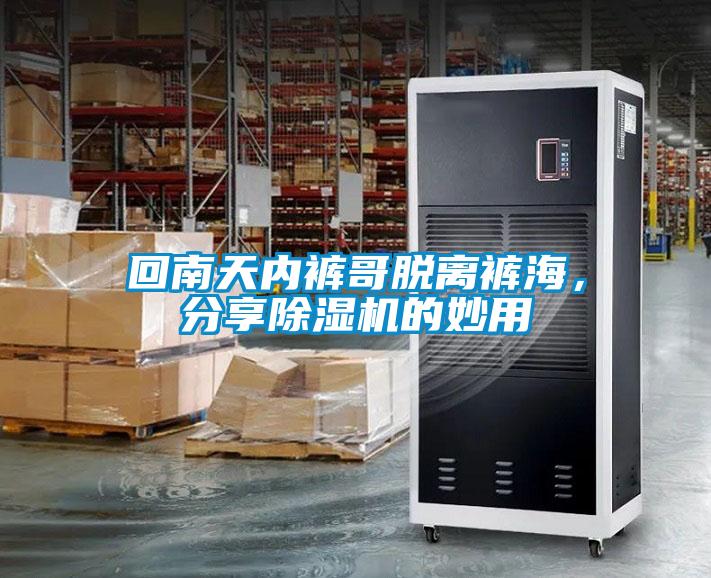 回南天內褲哥脫離褲海，分享除濕機的妙用