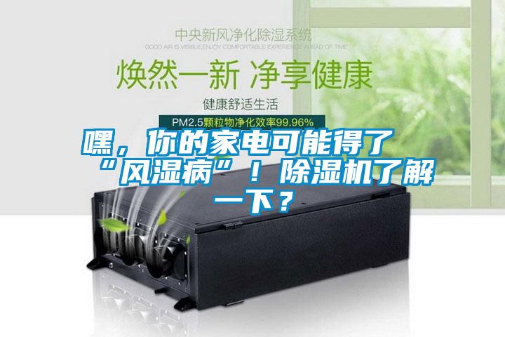 嘿，你的家電可能得了“風濕病”！除濕機了解一下？