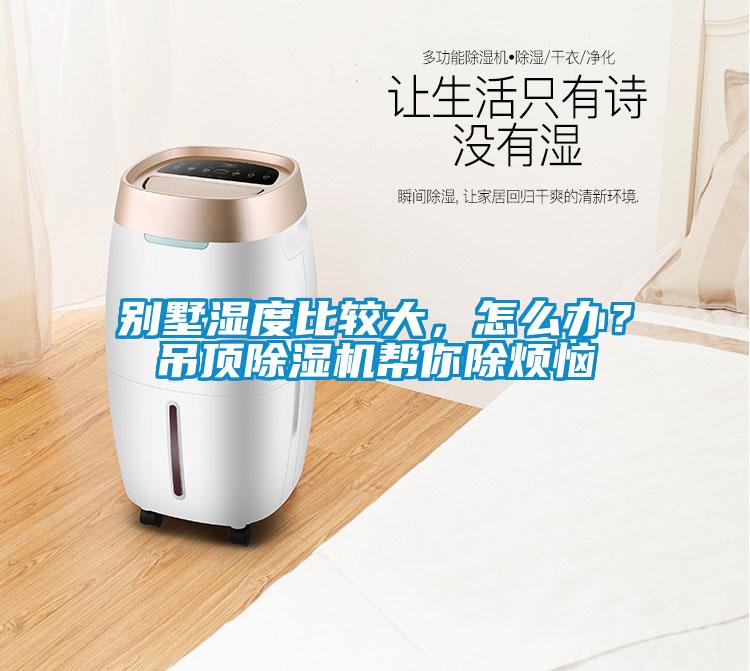 別墅濕度比較大，怎么辦？吊頂除濕機(jī)幫你除煩惱