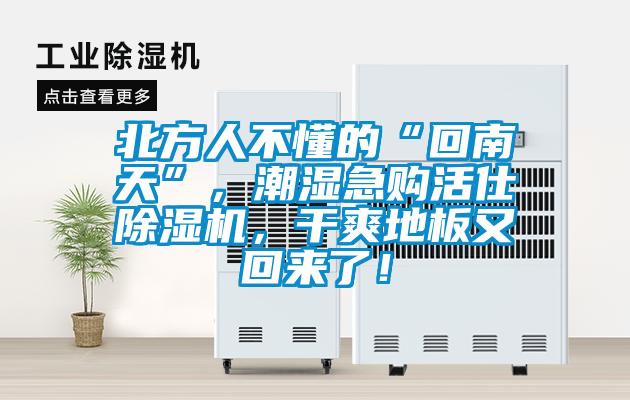 北方人不懂的“回南天”，潮濕急購活仕除濕機(jī)，干爽地板又回來了！