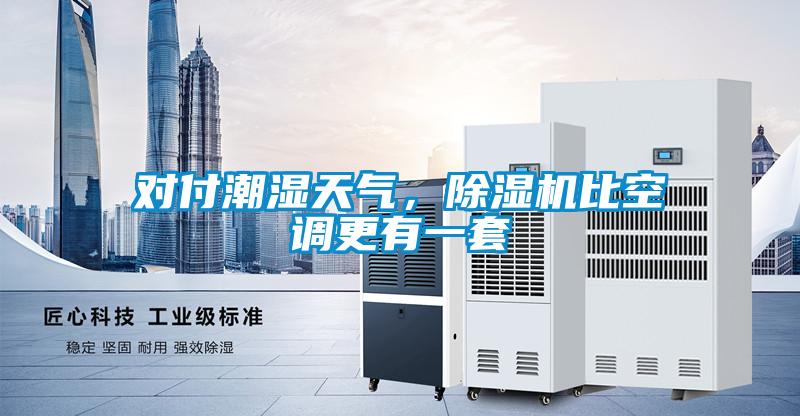 對(duì)付潮濕天氣，除濕機(jī)比空調(diào)更有一套
