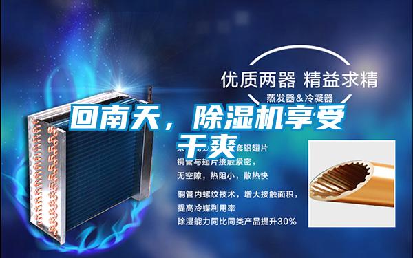 回南天，除濕機享受干爽
