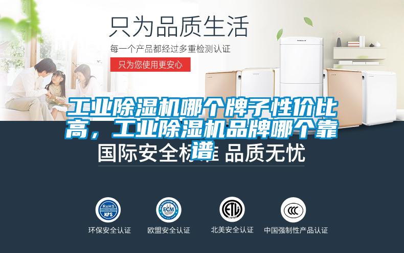工業(yè)除濕機(jī)哪個(gè)牌子性?xún)r(jià)比高，工業(yè)除濕機(jī)品牌哪個(gè)靠譜