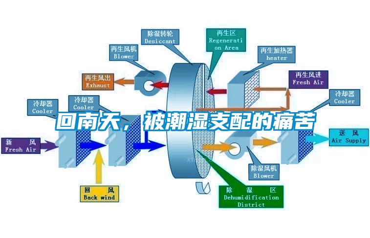 回南天，被潮濕支配的痛苦