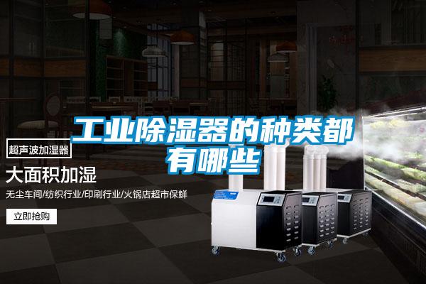 工業(yè)除濕器的種類(lèi)都有哪些