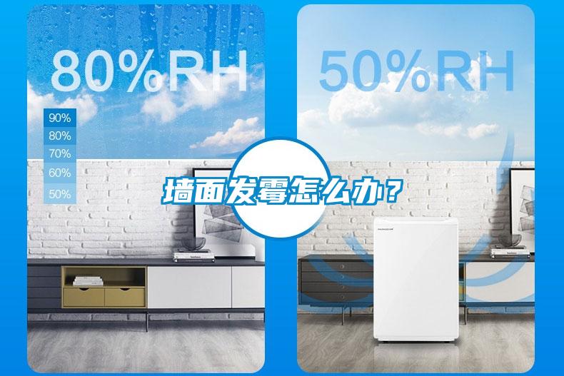 墻面發霉怎么辦？