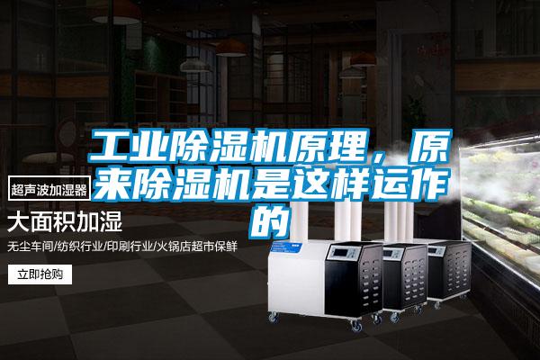 工業除濕機原理，原來除濕機是這樣運作的