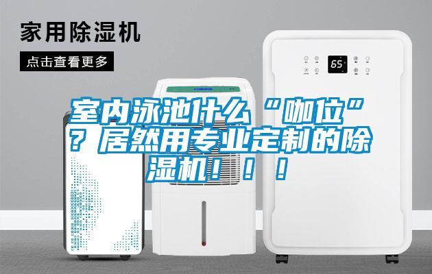 室內泳池什么“咖位”？居然用專業定制的除濕機！！！