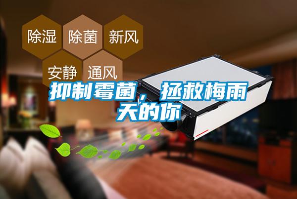 抑制霉菌，拯救梅雨天的你