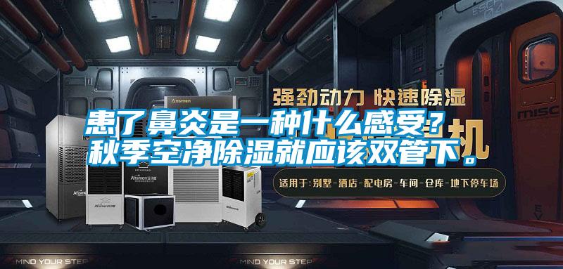 患了鼻炎是一種什么感受？ 秋季空凈除濕就應(yīng)該雙管下。