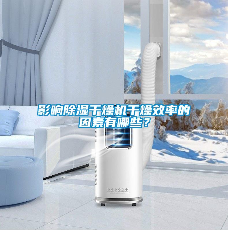 影響除濕干燥機干燥效率的因素有哪些？