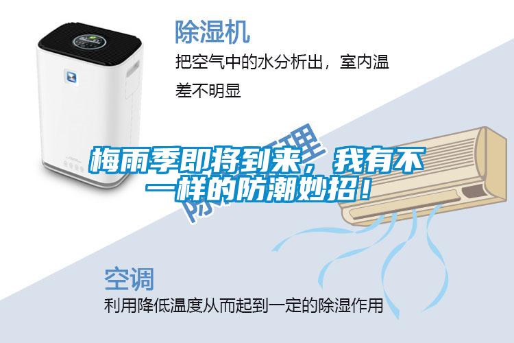梅雨季即將到來，我有不一樣的防潮妙招！