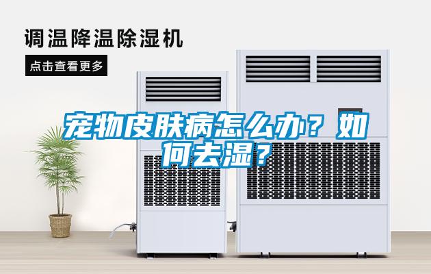 寵物皮膚病怎么辦？如何去濕？