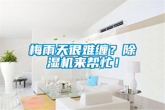 梅雨天很難纏？除濕機來幫忙！