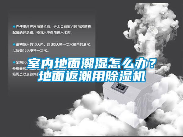 室內(nèi)地面潮濕怎么辦？地面返潮用除濕機(jī)