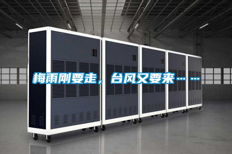 梅雨剛要走，臺風又要來……