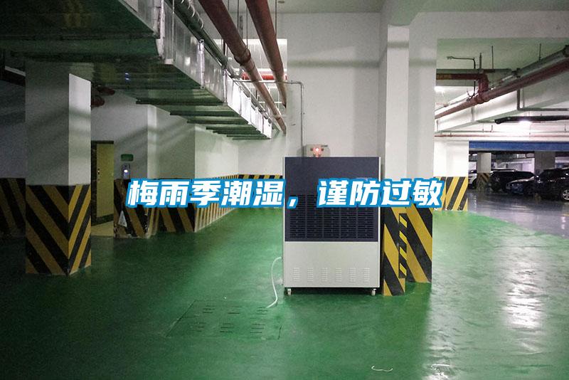 梅雨季潮濕，謹防過敏