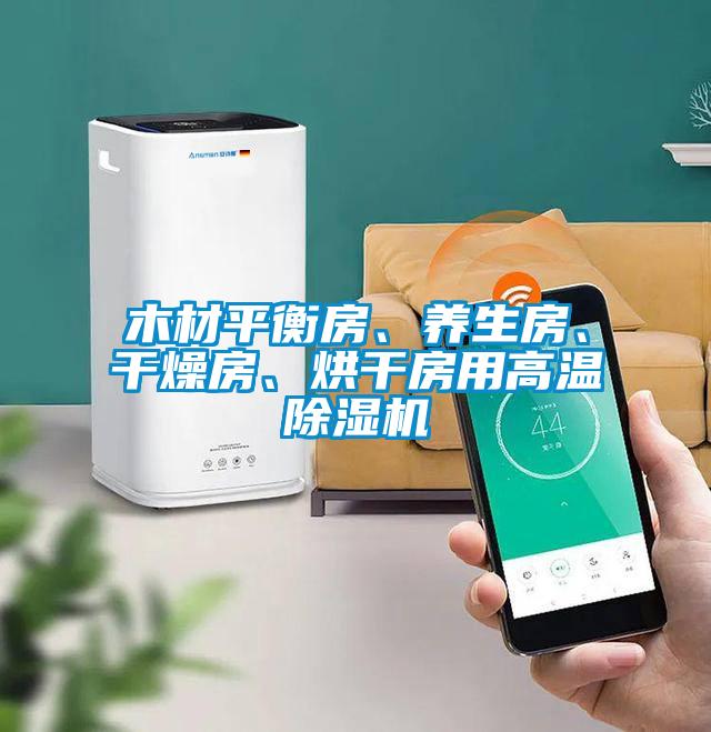 木材平衡房、養生房、干燥房、烘干房用高溫除濕機