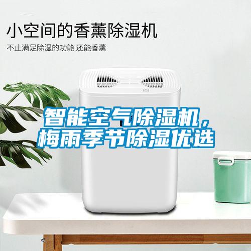 巴西菇、姬松茸烘干機(jī)-怎樣烘干色澤好且菇體褶片完整？