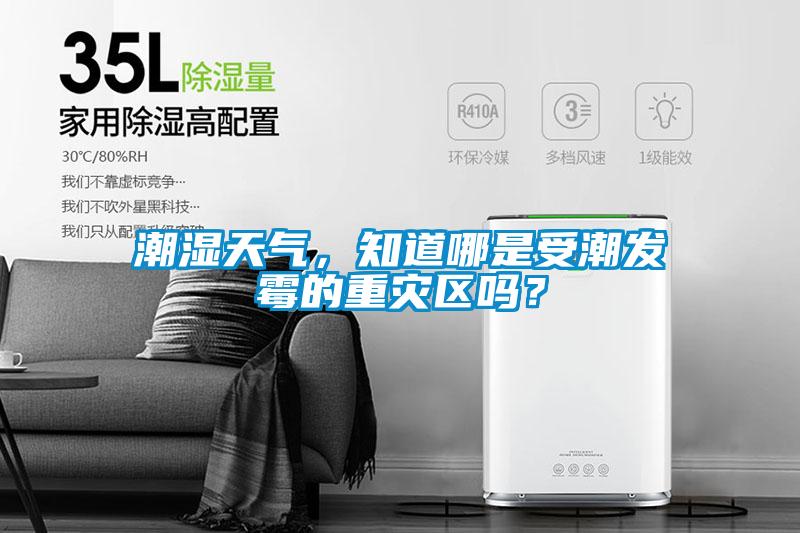 潮濕天氣，知道哪是受潮發(fā)霉的重災區(qū)嗎？