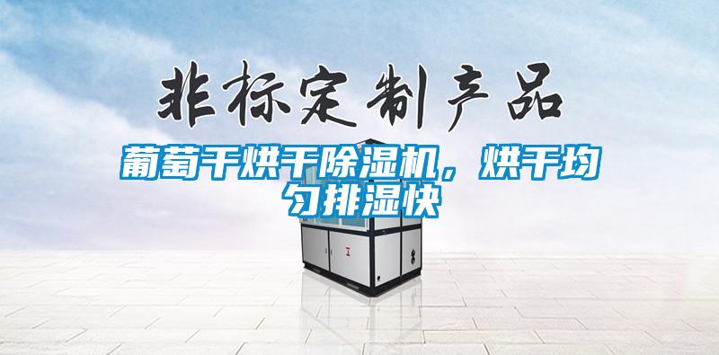 葡萄干烘干除濕機，烘干均勻排濕快