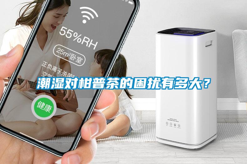 潮濕對柑普茶的困擾有多大？