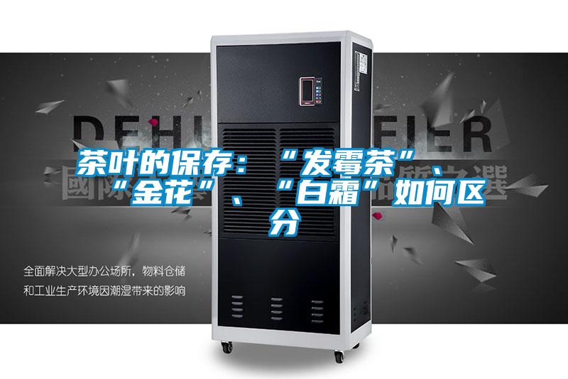 茶葉的保存：“發(fā)霉茶”、“金花”、“白霜”如何區(qū)分