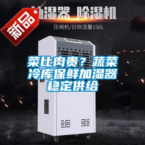 菜比肉貴？蔬菜冷庫保鮮加濕器穩(wěn)定供給