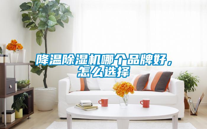 降溫除濕機(jī)哪個(gè)品牌好，怎么選擇