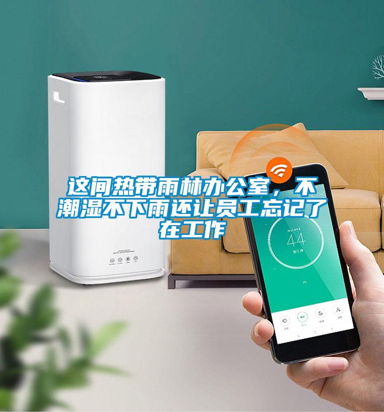 這間熱帶雨林辦公室，不潮濕不下雨還讓員工忘記了在工作