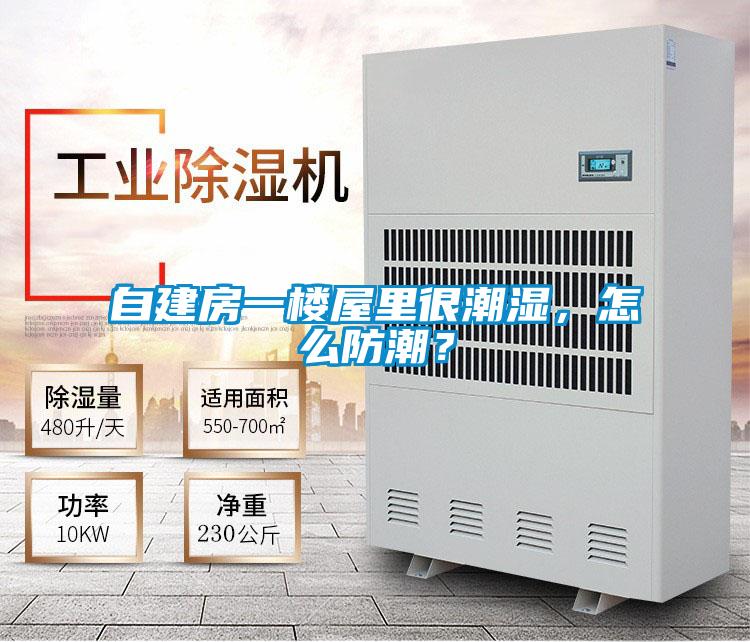 自建房一樓屋里很潮濕，怎么防潮？