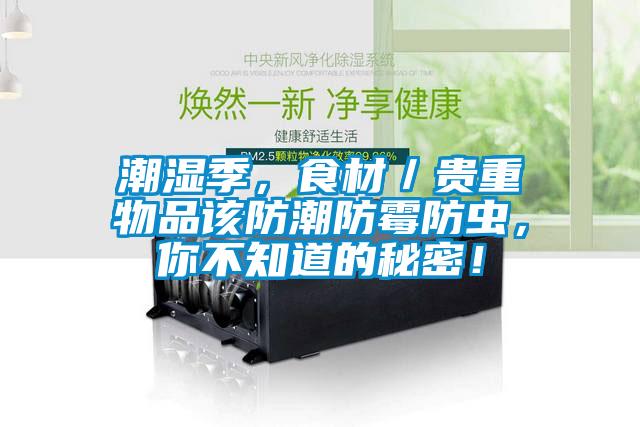 潮濕季，食材／貴重物品該防潮防霉防蟲，你不知道的秘密！