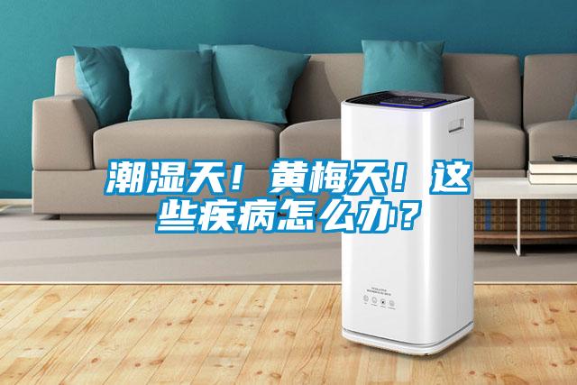 潮濕天！黃梅天！這些疾病怎么辦？