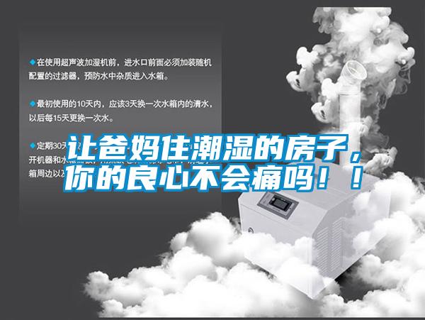 讓爸媽住潮濕的房子，你的良心不會痛嗎！！