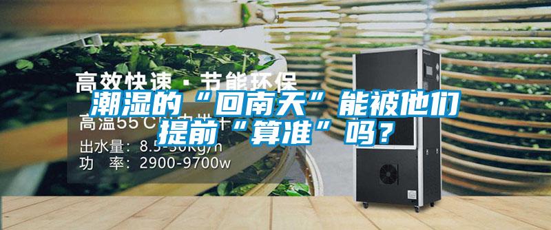 潮濕的“回南天”能被他們提前“算準”嗎？