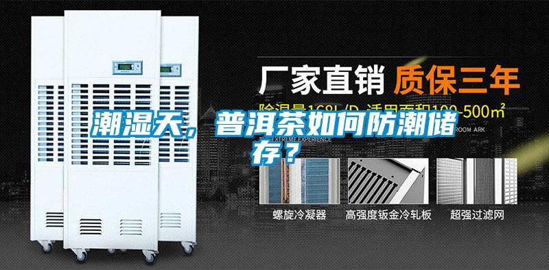 潮濕天，普洱茶如何防潮儲存？