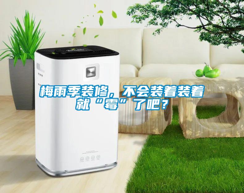 梅雨季裝修，不會裝著裝著就“霉”了吧？