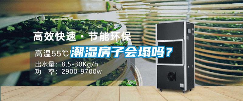 潮濕房子會塌嗎？