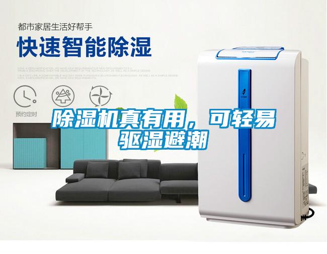 除濕機真有用，可輕易驅濕避潮