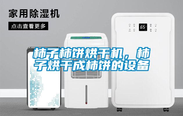 柿子柿餅烘干機，柿子烘干成柿餅的設備