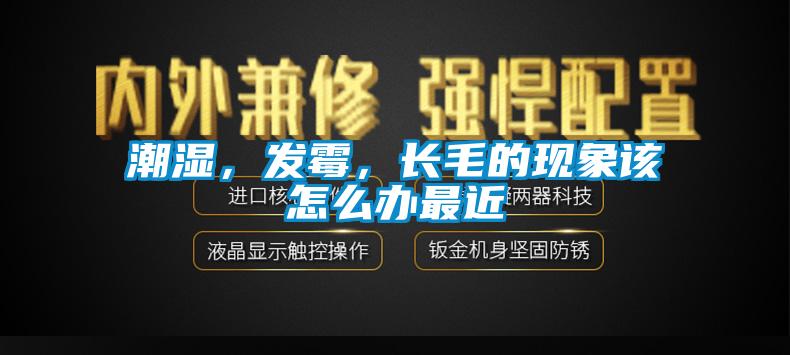 潮濕，發霉，長毛的現象該怎么辦最近