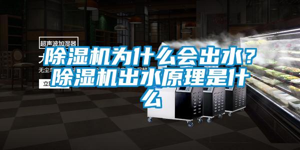 除濕機為什么會出水？除濕機出水原理是什么