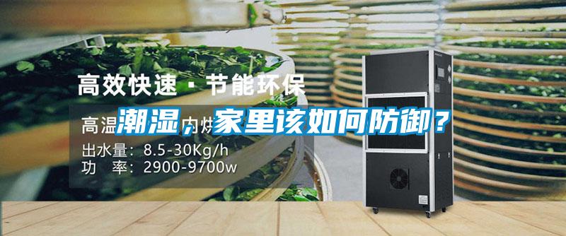 潮濕，家里該如何防御？